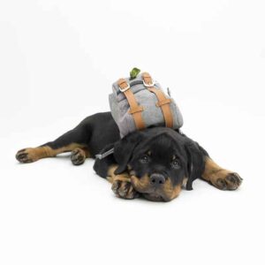 Dogs Poop Bag Holder Mini Carrier Pocket Dog Self Backpack English Bulldog Dog Saddle Backpack