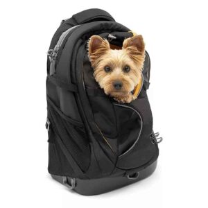 OEM Custom Waterproof Lightweight Soft Travel Dog Carrier Backpack for Small Pets Hiking Walking Dogs & Cats TSA Airline Approved