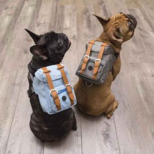 Dogs Poop Bag Holder Mini Carrier Pocket Dog Self Backpack English Bulldog Dog Saddle Backpack