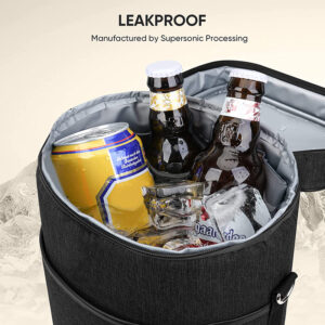 2 Bottle Wine Carrier Insulated Leakproof Wine Cooler Bag For Travel Picnic Camping